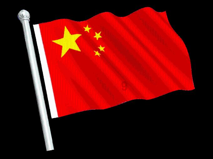 探索狮子通常都是群居生活,为何老虎通常都是独居?的热门话题 - 狮子通常都是群居生活,为何老虎通常都是独居?红迪网平台